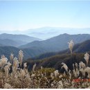 장안산 (長安山 1,237 m) -2007.9.2 (일)오전 8시 충무체육관- [신청마감] 이미지