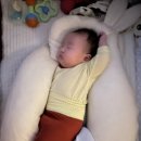 시밀레쇼핑 이미지