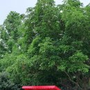 칠성초등학교 병설유치원 이미지