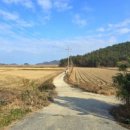 서부해안로(안치) 이미지