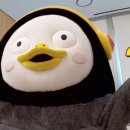매일도넛 이미지
