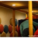 미각뷔페 이미지