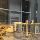 하노이&amp;사파 여행/샤오비엣 슬리핑버스/토파스 에코로지 셔틀 예약/레전드TMI 多/공항 편의점 유심칩...