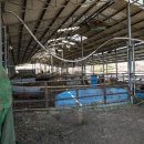 보성축사 이미지