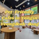 참좋은애견 이미지