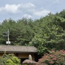 이목로 | [고성] 8인 대가족 소노벨델피노 골드스위트 &amp; 식객 후기