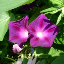 연민농장 이미지