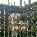 아산시실내수영장 | [충남 아산] 아산배미수영장 실내 수영장 추천+아산여행 후기