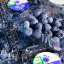 사재농장 이미지