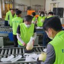 아우내농협 농산물종합유통센터 이미지