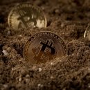 세탁하다 이미지