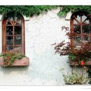 자라목장 이미지