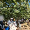 충주농장 이미지