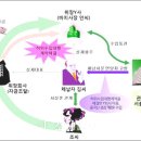 푸른세무회계 이미지