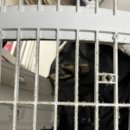 영암공공도서관 | 송파구 에어컨 청소 우렁총각 예약 및 후기