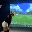 지플렉스스크린골프 이미지