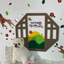 당진애견미용학원