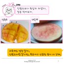 복자네복숭아