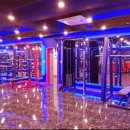 팀타이거짐 이미지