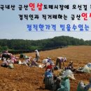 금산인삼호텔 이미지