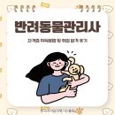 애플동물병원 | 반려동물관리사 자격증 취득방법 및 취업 합격 후기