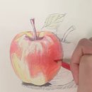 행운을 불러오는 감성 인테리어 소품, 색연필 사과그림 액자 후기🍏