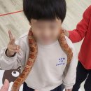 옥천초등학교병설유치원 이미지