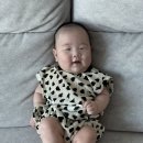 저지래 | [울또일상] 6월일상&달콤이 149~155, 5개월차 진입, 초기이유식 시작, 쌀미음, 오트밀미음, 의왕 누룽지...