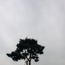 무심교옆 네이버블로그