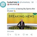 화이트 스포츠 이미지