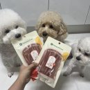 햅삐멍 | 케이펫페어 코엑스에서 사온 네츄럴코어 오리울대(소프트) 내돈내산후기 8월에는 케이펫페어 송도라구!
