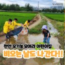 [후기] 교수엄마의 똑똑한 선택!!