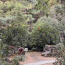 소담농장 | 아이와 가기 딱 좋은 제주 체험 농장, 유진팡 만족한 후기 🌿🐰