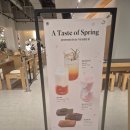 기분좋은날중식당 | 구의역 카페 디저트 맛집 센터커피 구의이스트폴점 핸드드립 라떼부터 티라미수까지 솔직 후기