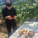 친환경농업컨설팅