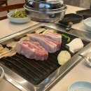 링크 늘푸른 애견호텔 이미지