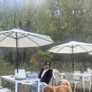 호화농장 이미지