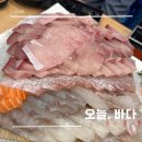 오늘의 바다 | 마곡역 방어 맛집 내돈내산으로 간 오늘, 바다 후기