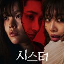 영화 시스터 결말 스포 후기 리뷰 평점 관람평 ott 넷플릭스 줄거리 등장인물 출연진 수위 쿠키 정보...