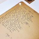 슬기로운낙타