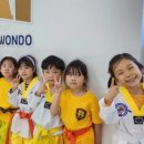 국가대표 경희대 부부태권도장 이미지