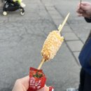 에버랜드스냅 고유스냅 에버랜드 데이트하러 가서 용인스냅사진 찍고 왔어요~