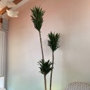 나그네 하우스 이미지