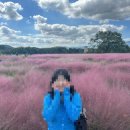 경주스테이(구황) | [경주여행_숙소] 구황스테이 감성숙소추천 마당있는 숙소 내돈내산 후기 (자전거 대여가능,뚜벅이OK!)