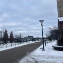 뭉치동물약국 | 스웨덴 워홀 1월의 일상 (3)