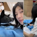 봄날의강아지