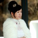 집톡스 이미지