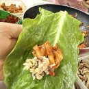 정진농장 이미지