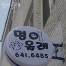 멍이올래 | 여수 애견호텔 멍이올래 할인 영업시간 가는길