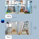 냥냥호텔 | [고양이호텔] 반려동물호텔 냥냥호텔 솔직 후기(마이돈마이산)